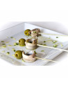 Cantabric Boquerones, White Anchovies in Olive Oil, Garlic and Parsley, 850g large tub