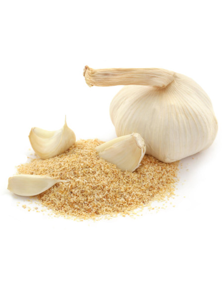 Garlic Granules