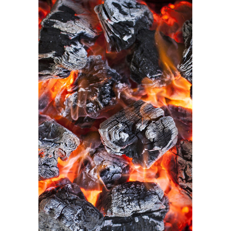Premium Holm Oak Charcoal -  9.5kg