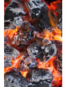 Premium Holm Oak Charcoal -  9.5kg