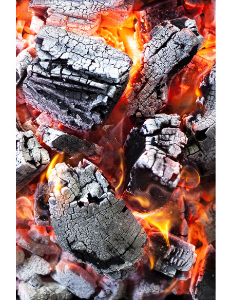 White Argentinian Quebracho Hardwood Charcoal – 9.5kg Bag